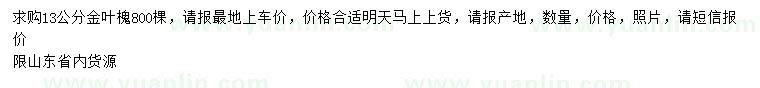 求購13公分金葉槐