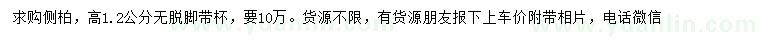 求購高1.2公分側(cè)柏