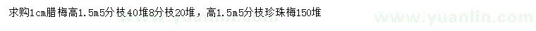 求購高1.5米臘梅、珍珠梅