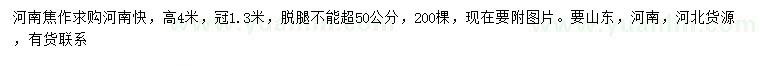 求購高4米河南檜