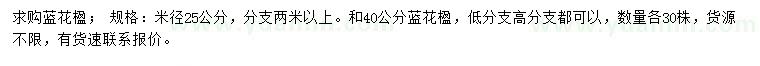 求購米徑25公分藍花楹
