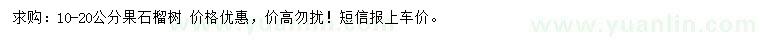 求購10-20公分果石榴樹
