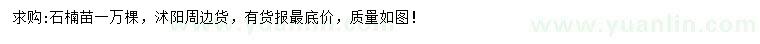 求購(gòu)石楠苗
