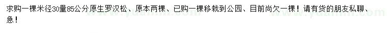 求購米徑30量85公分原生羅漢松