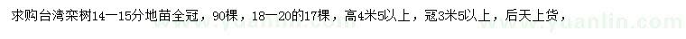 求購(gòu)14-15公分臺(tái)灣欒樹(shù)
