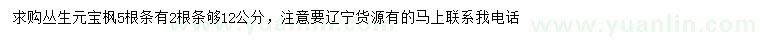 求購叢生元寶楓