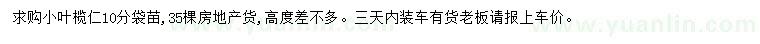 求購10公分小葉欖仁