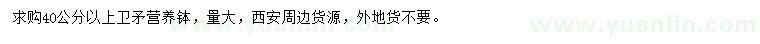 求購40公分以上衛(wèi)矛