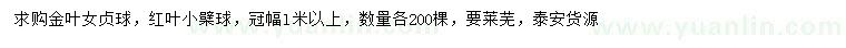 求購金葉女貞球、紅葉小檗球