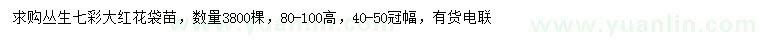 求購高80-100公分叢生七彩大紅花