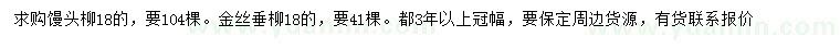 求購18公分饅頭柳、金絲垂柳