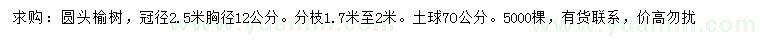 求購胸徑12公分圓頭榆樹