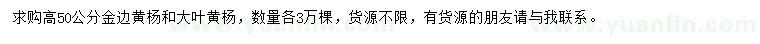 求購高50公分金邊黃楊、大葉黃楊