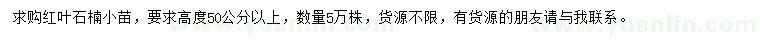 求購(gòu)高50公分以上紅葉石楠