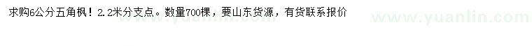 求購6公分五角楓
