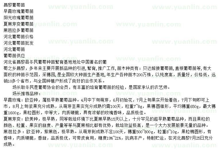 求購昌黎葡萄苗、早霞玫瑰葡萄苗、陽光玫瑰葡萄苗等