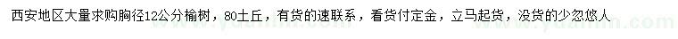 求購胸徑12公分榆樹