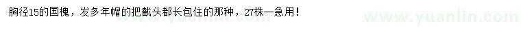 求購(gòu)胸徑15公分國(guó)槐