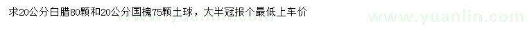 求購20公分白臘、國槐