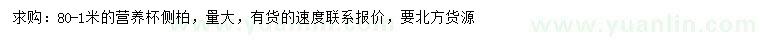 求購(gòu)80-1米側(cè)柏