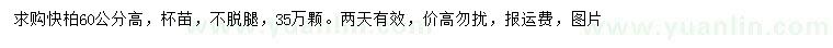 求購(gòu)高60公分檜柏