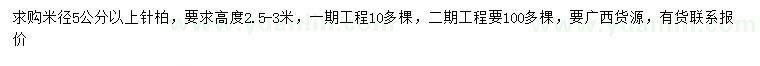 求購米徑5公分以上針柏