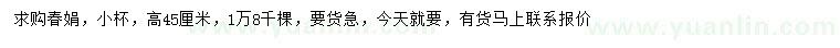 求購高45公分春娟