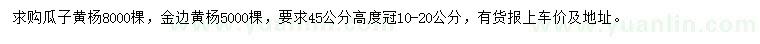 求購高45公分瓜子黃楊、金邊黃楊