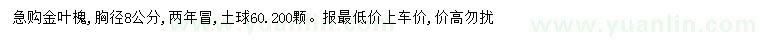 求購胸徑8公分金葉槐