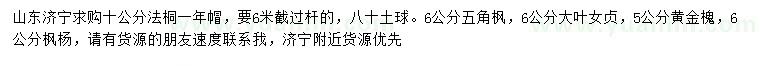 求購(gòu)法桐、五角楓、大葉女貞等