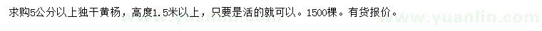 求購5公分以上黃楊