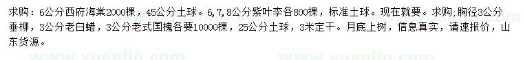 求購西府海棠、紫葉李、垂柳等