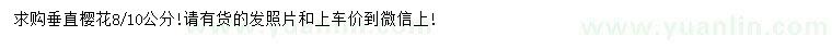 求購8、10公分垂直櫻花