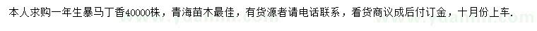 求購暴馬丁香