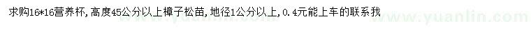 求購(gòu)高45公分以上樟子松苗