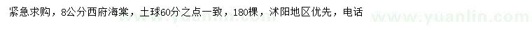 求購(gòu)8公分西府海棠