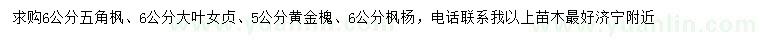 求購五角楓、大葉女貞、黃金槐等