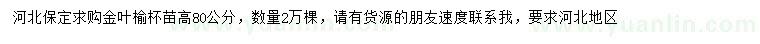 求購高80公分金葉榆苗