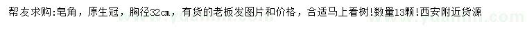 求購胸徑32公分皂角