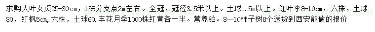 求購大葉女貞、紅葉李、紅楓等