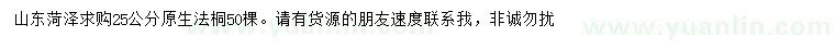 求購25公分原生法桐