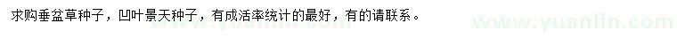 求購垂盆草種子、凹葉景天種子