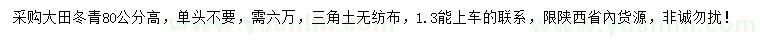 求購(gòu)高80公分大田冬青