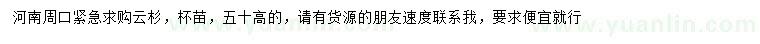 求購高50公分云杉