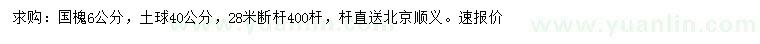 求購6公分國槐