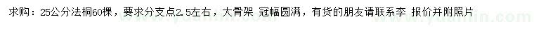 求購25公分法桐
