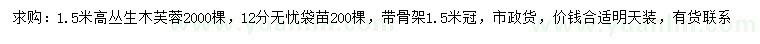 求購高1.5米叢生木芙蓉、12公分無憂苗
