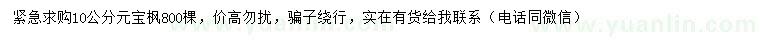 求購10公分元寶楓