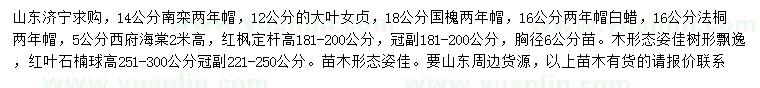 求購(gòu)南欒、大葉女貞、國(guó)槐等