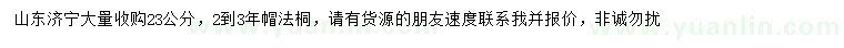 求購23公分法桐
